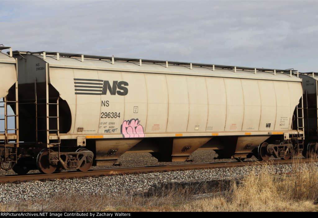 NS 296384